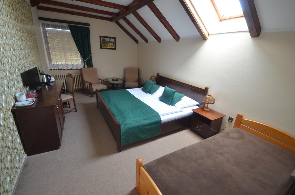Villa Zerotin Penzion Bed & Breakfast Velké Losiny 外观 照片