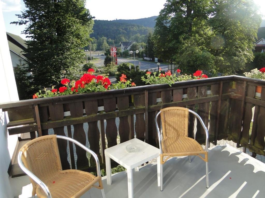 Villa Zerotin Penzion Bed & Breakfast Velké Losiny 外观 照片