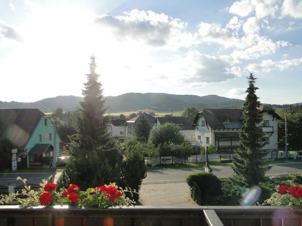 Villa Zerotin Penzion Bed & Breakfast Velké Losiny 外观 照片